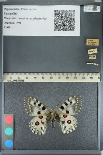 Media type: image;   Entomology 174970